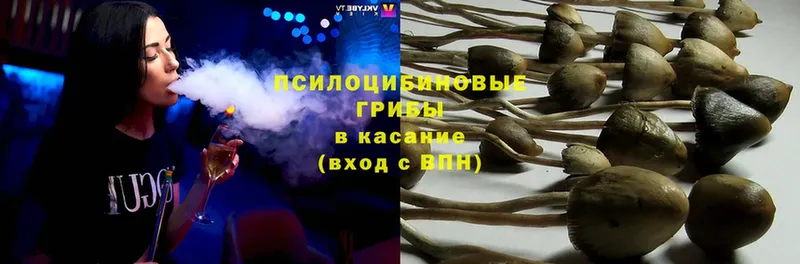 Псилоцибиновые грибы Psilocybe  закладки  Мышкин 